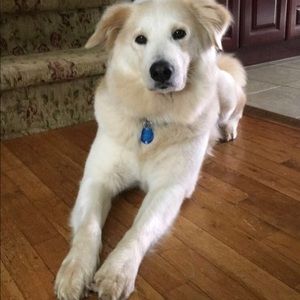 Meet your Posher, Gianna